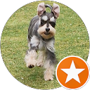 Linda Shaddick profile picture